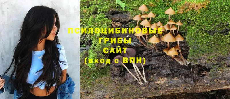 Псилоцибиновые грибы Magic Shrooms  Владикавказ 