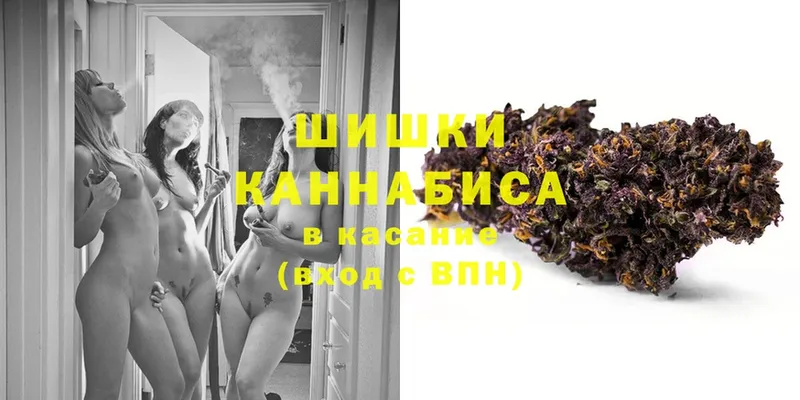 продажа наркотиков  ссылка на мегу зеркало  Каннабис White Widow  Владикавказ 